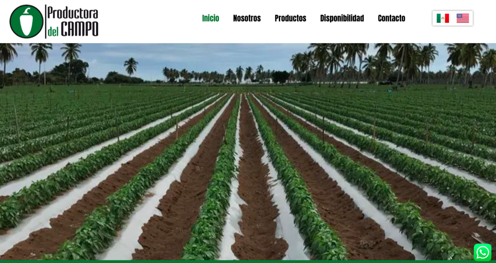 Páginas web para alimentos