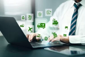 Web eco amigable en Culiacan